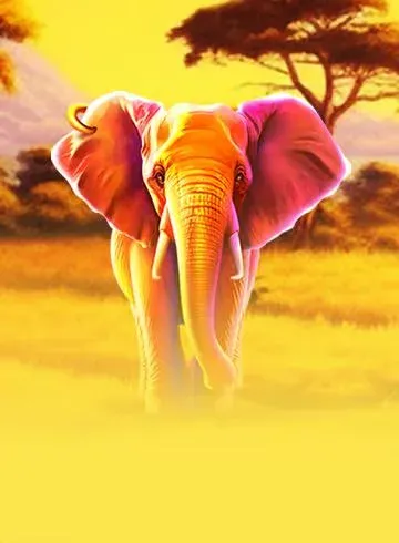 Elephant Carnival